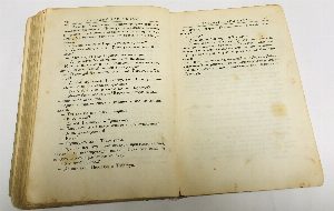 Развороченный муравейник. Эмигрантские рассказы