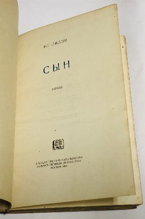 Сын. Роман
