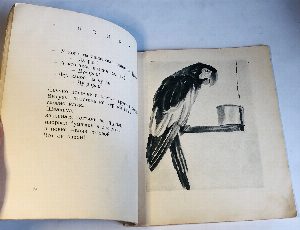 Детский остров.