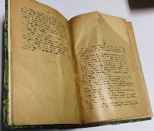 Чудаки. Роман из современной жизни. Часть вторая.