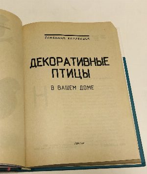 Декоративные птицы в вашем доме.