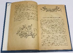 Приключения доисторического мальчика. Рассказ для детей 10-12 лет.
