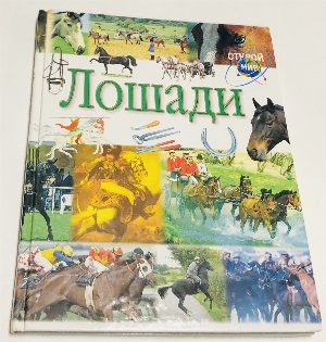 Лошади.