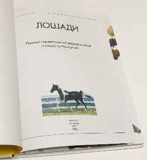 Лошади.