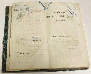 Die Deutsche wortbildung oder die organische entwickelung der Deutsche sprache in der ableitung. / Немецкое словообразование или органическое развитие немецкого языка в словообразовании.